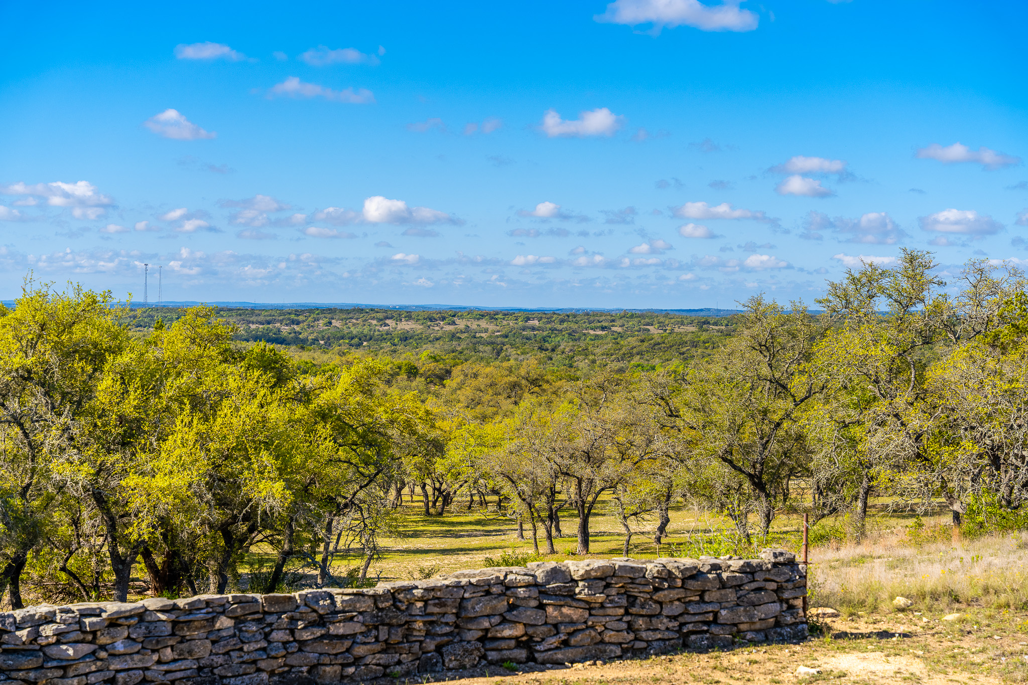 1100 Pump Station Road Wimberley, TX 78676 - Photo 6 of 40 a view of yard with swimming pool