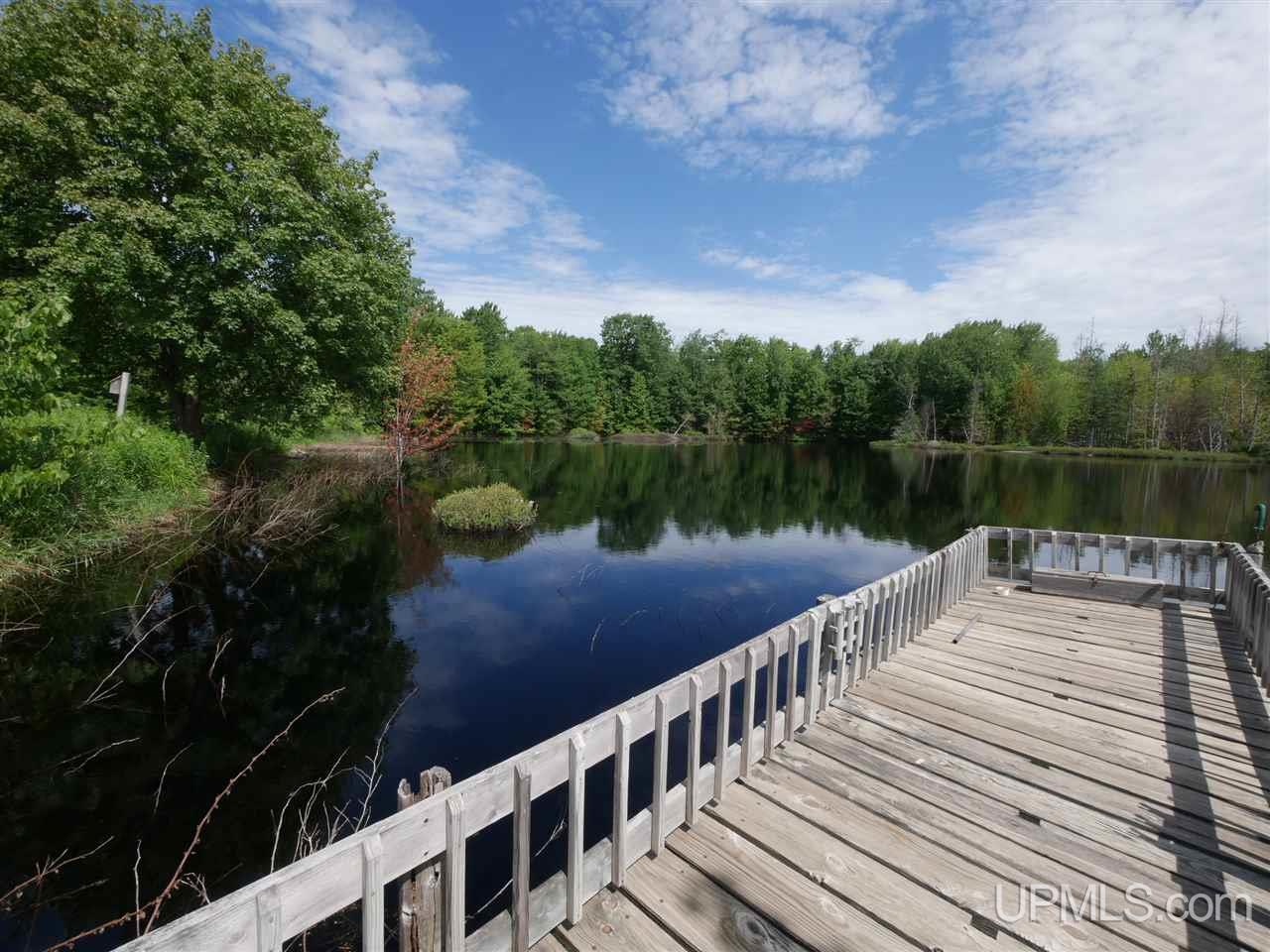 31436 Emily Lake Road Toivola, MI 49965 - Photo 28 of 50 Gallery Image 28