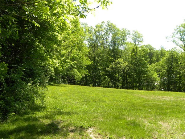 50 Casey Road Charlton, MA 01507 - Photo 6 of 30 a view of green field with trees in the background