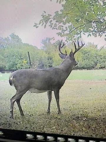 $550,000 | 1013 2400th Street, La Harpe, KS 66751