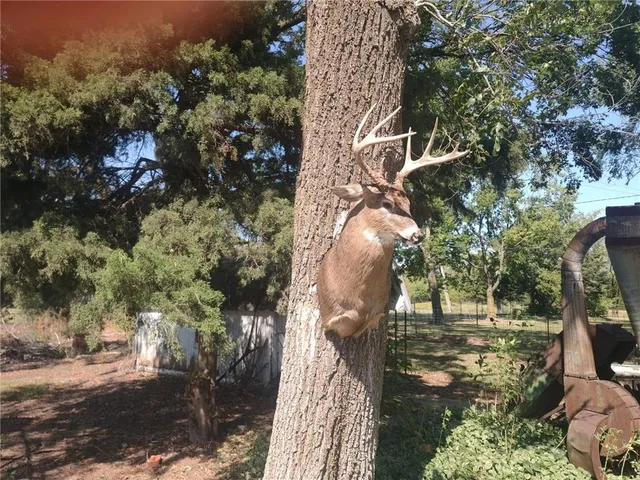 $550,000 | 1013 2400th Street, La Harpe, KS 66751