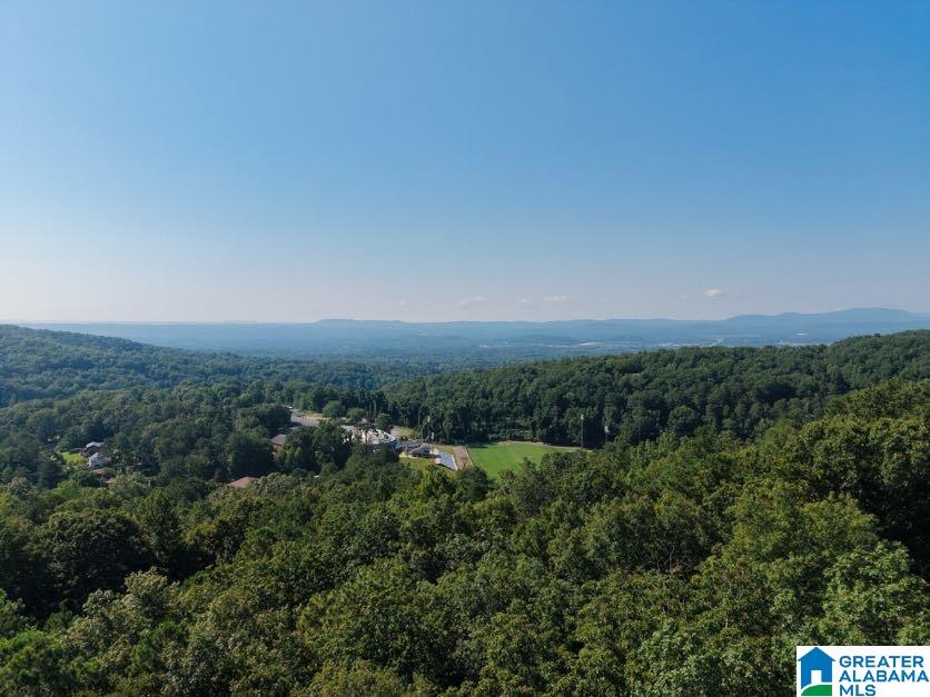 2327 Ridgeview Road Anniston, AL 36207 - Photo 56 of 61