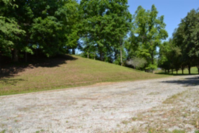 318 Rock Springs Road Celina, TN 38551 - Photo 31 of 87 a view of a yard with a tree