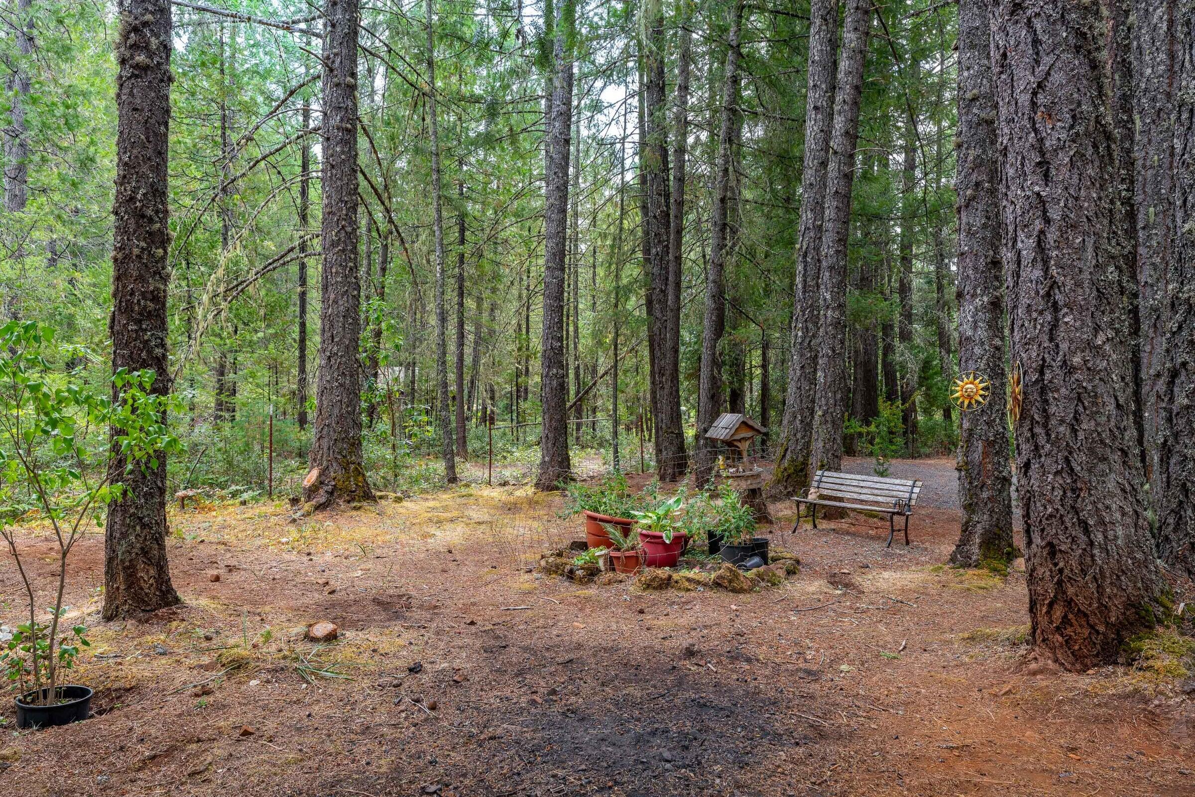 755 Rough And Ready Creek Road Cave Junction, OR 97523 - Photo 17 of 26 20240917175830787922000000-o