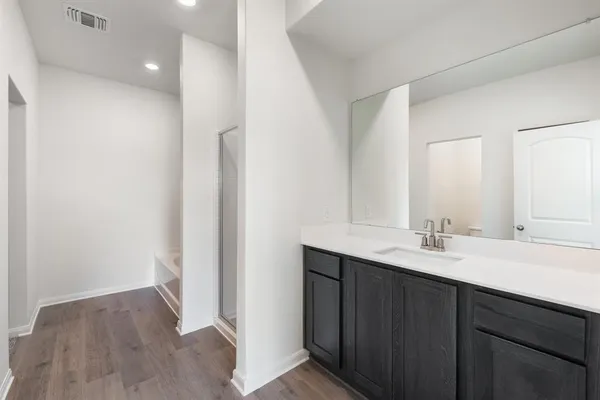 a bathroom with a sink a mirror and a shower