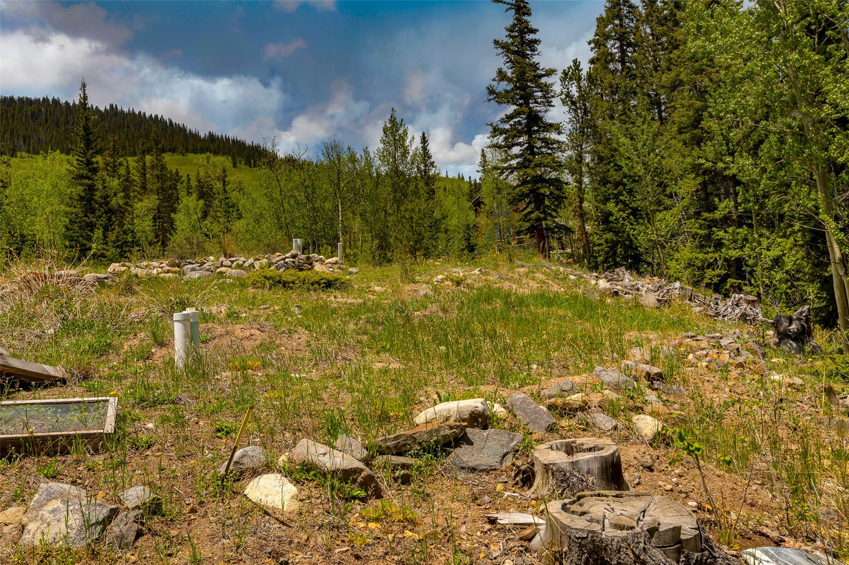 522 Quartzville Road Alma, CO 80420 - Photo 27 of 46