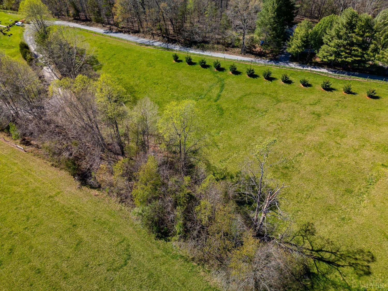 1088 Foster Road Thaxton, VA 24174 - Photo 88 of 92 a view of a yard with a tree