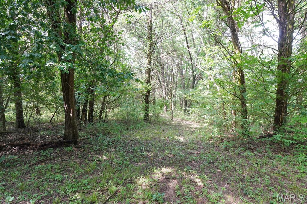 1971 Epple Road Hermann, MO 65041 - Photo 68 of 98