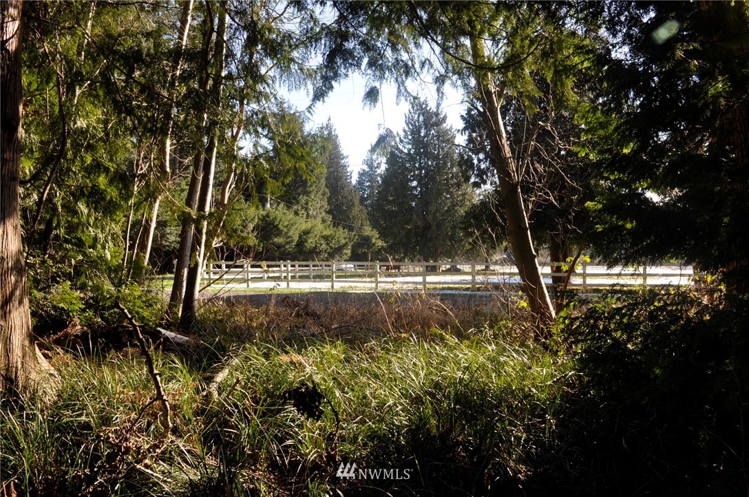 1741 Austin Road Point Roberts, WA 98281 - Photo 2 of 17 Gallery Image 2