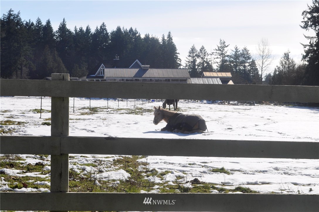 1741 Austin Road Point Roberts, WA 98281 - Photo 12 of 17 Gallery Image 12
