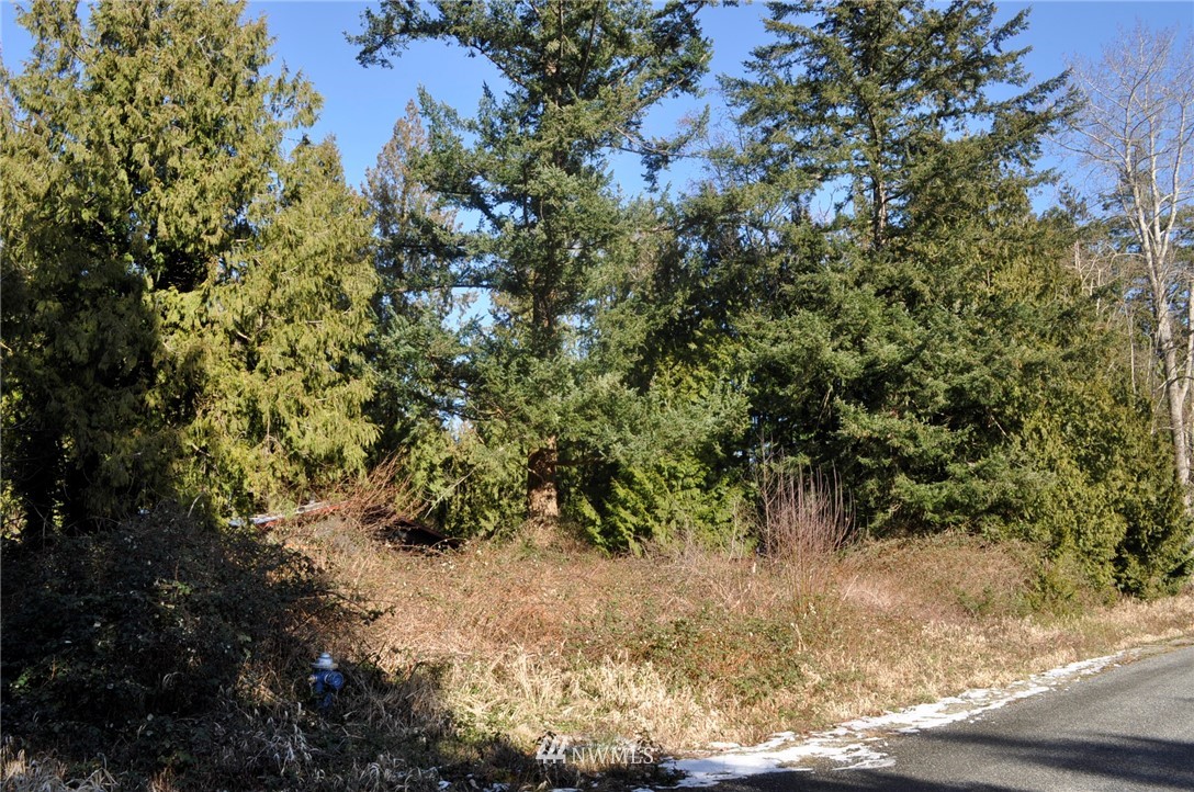1741 Austin Road Point Roberts, WA 98281 - Photo 14 of 17 Gallery Image 14
