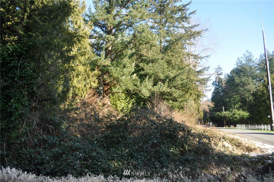 1741 Austin Road Point Roberts, WA 98281 - Photo 15 of 17 Gallery Image 15