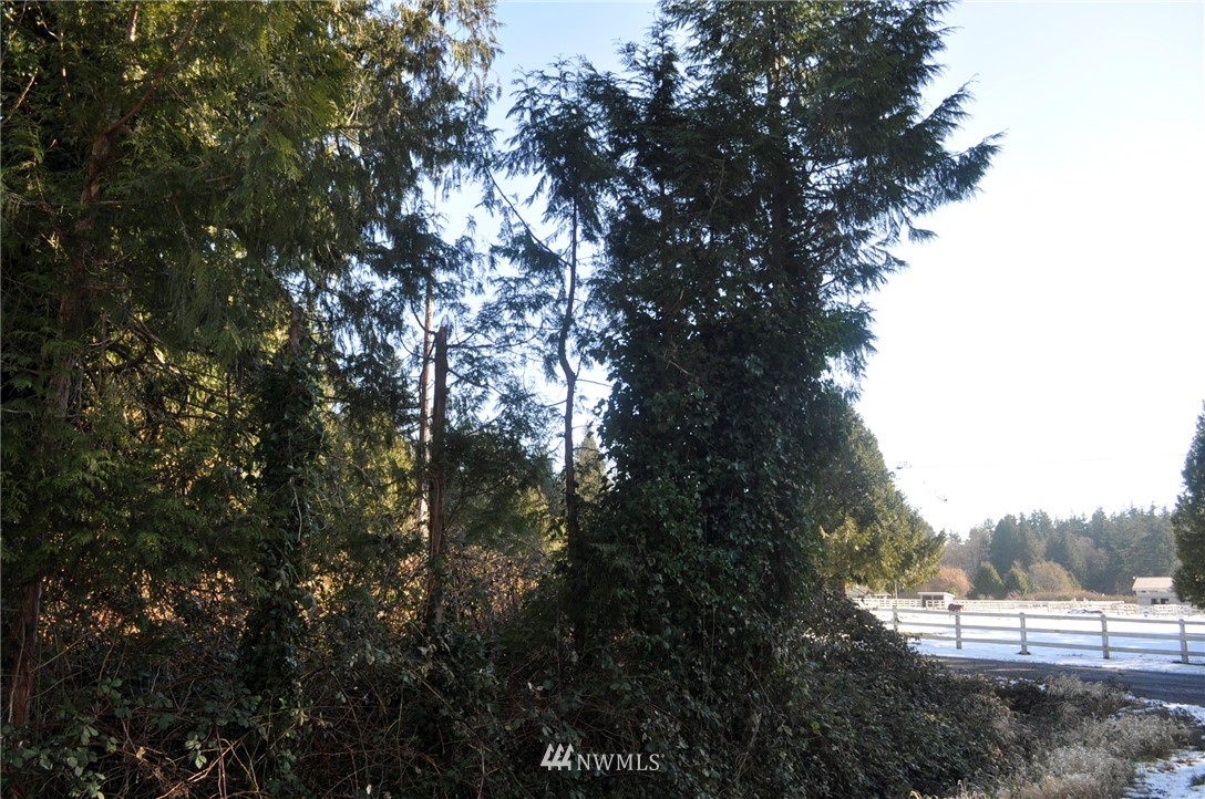 1741 Austin Road Point Roberts, WA 98281 - Photo 16 of 17 Gallery Image 16