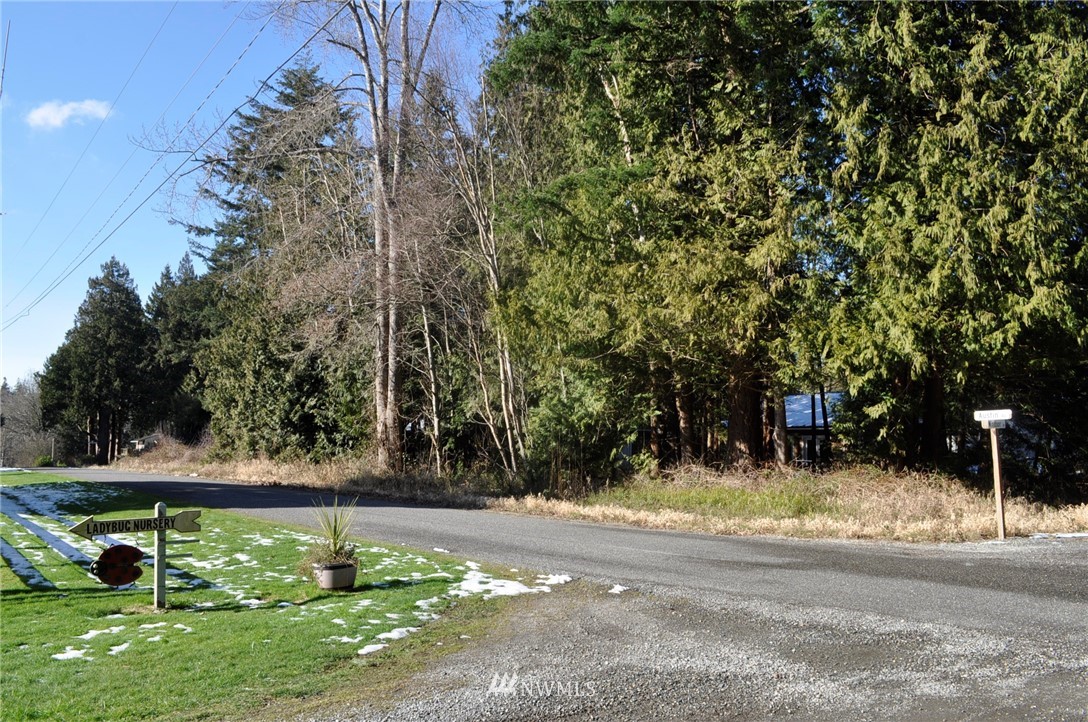 1741 Austin Road Point Roberts, WA 98281 - Photo 4 of 17 Gallery Image 4