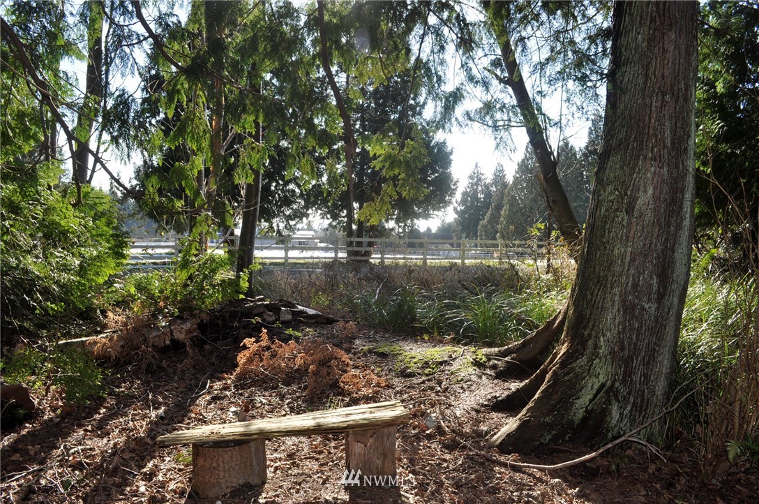 1741 Austin Road Point Roberts, WA 98281 - Photo 8 of 17 Gallery Image 8