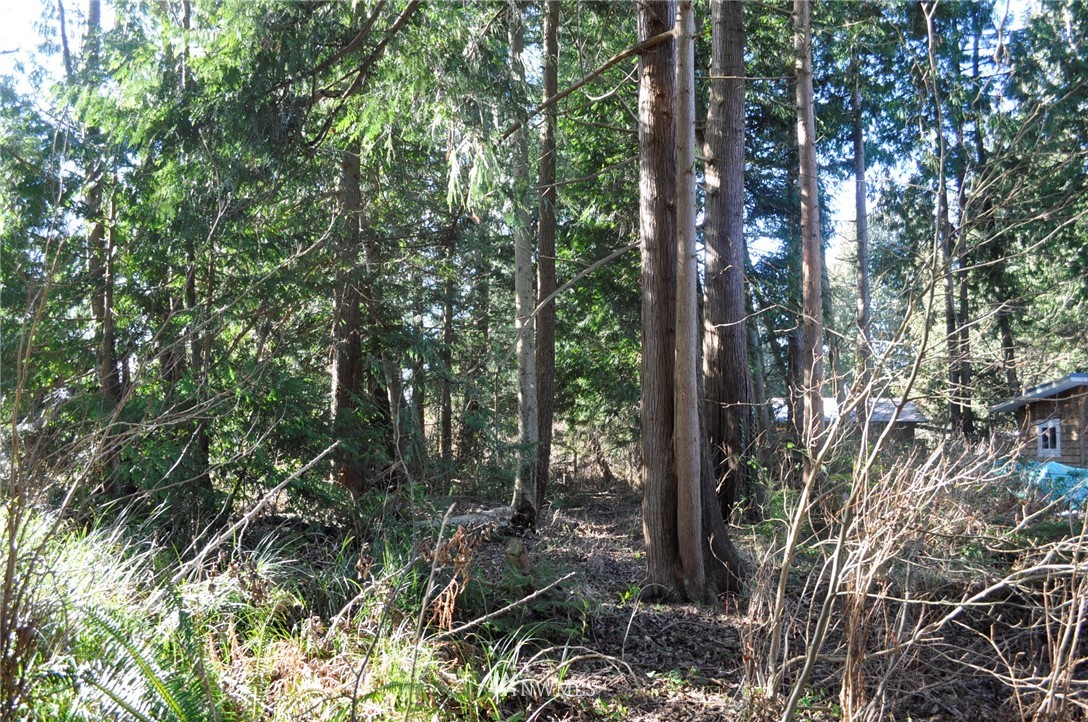 1741 Austin Road Point Roberts, WA 98281 - Photo 9 of 17 Gallery Image 9