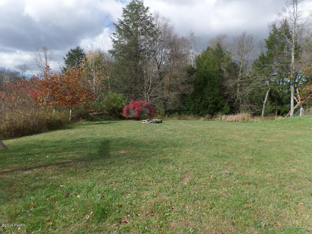 136 Sawmill Road Greentown, PA 18426 - Photo 32 of 40 Back Yard (2)