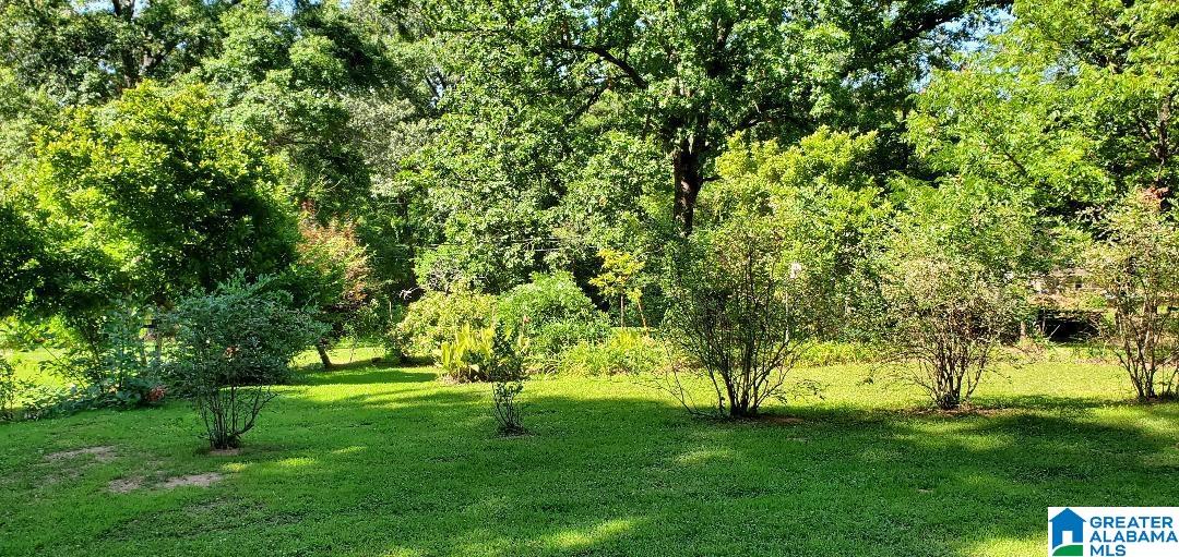 215 Odena Road South Sylacauga, AL 35150 - Photo 8 of 14