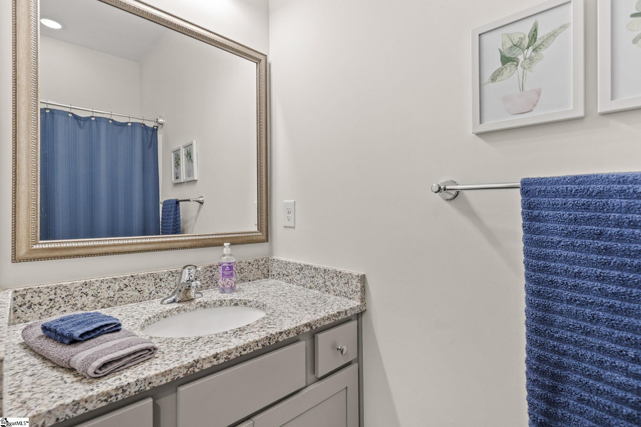 201 Tralee Drive Pendleton, SC 29670 - Photo 29 of 43