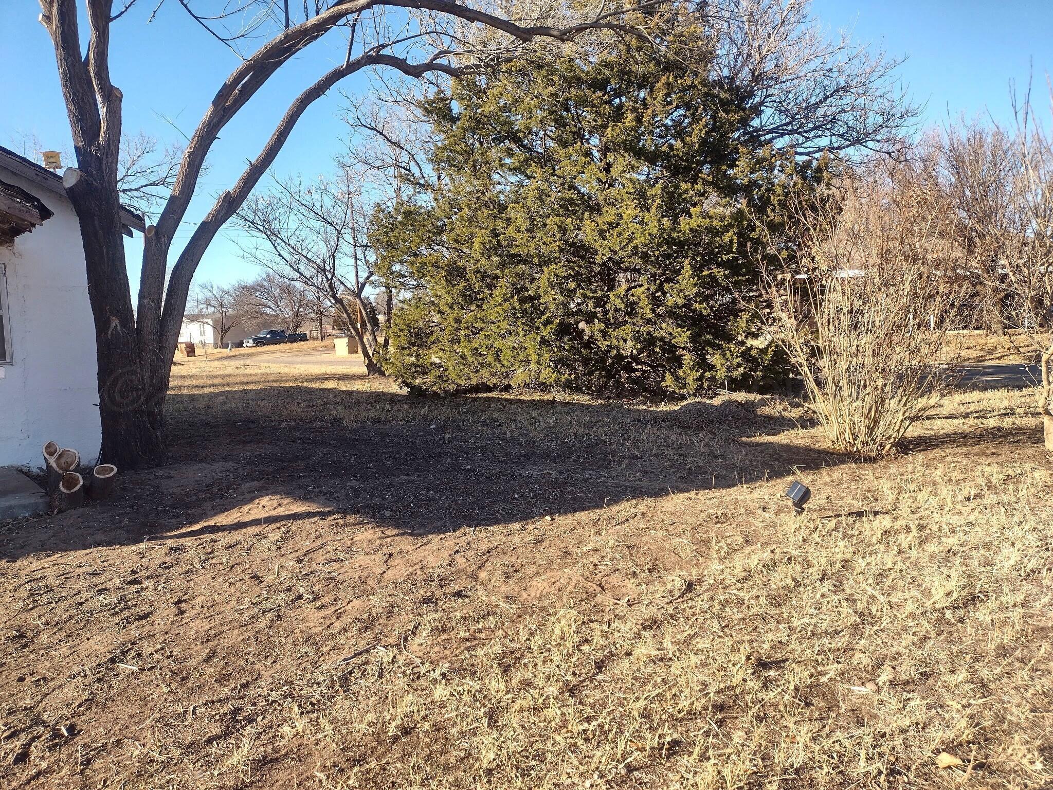 919 Main Street McLean, TX 79057 - Photo 12 of 13 a view of a yard with a tree