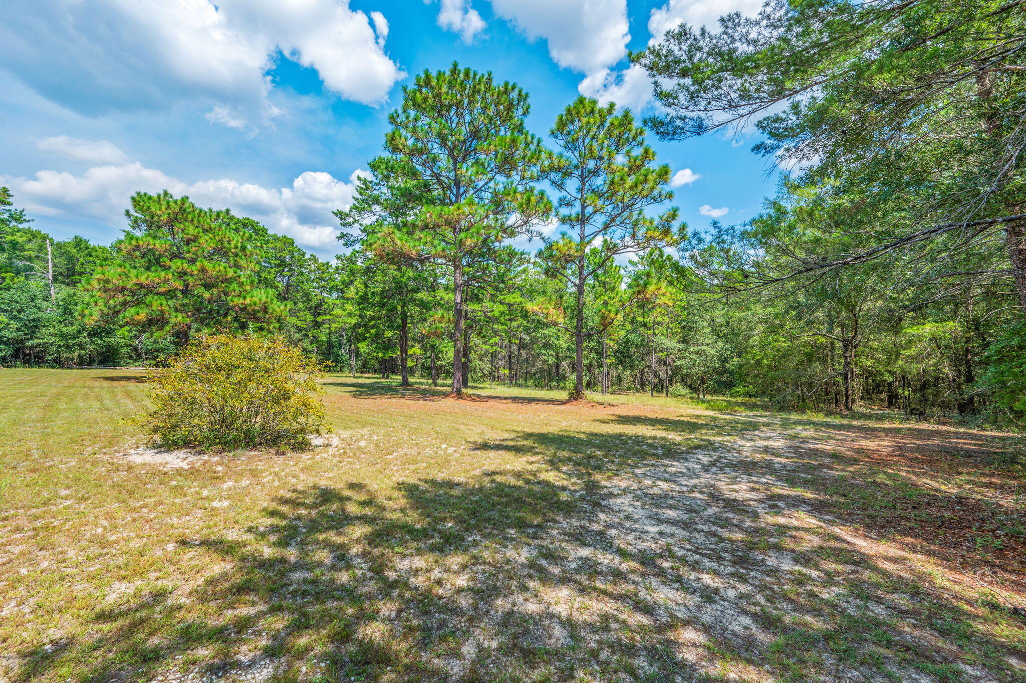 1336 Juniper Lake Road DeFuniak Springs, FL 32433 - Photo 47 of 59 55-web-or-mls-1336-juniper-lake-rd