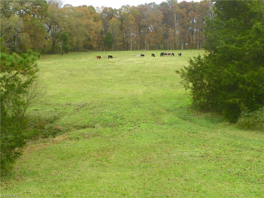 390 Will Snider Road Linwood, NC 27299 - Photo 21 of 25 Land behind house