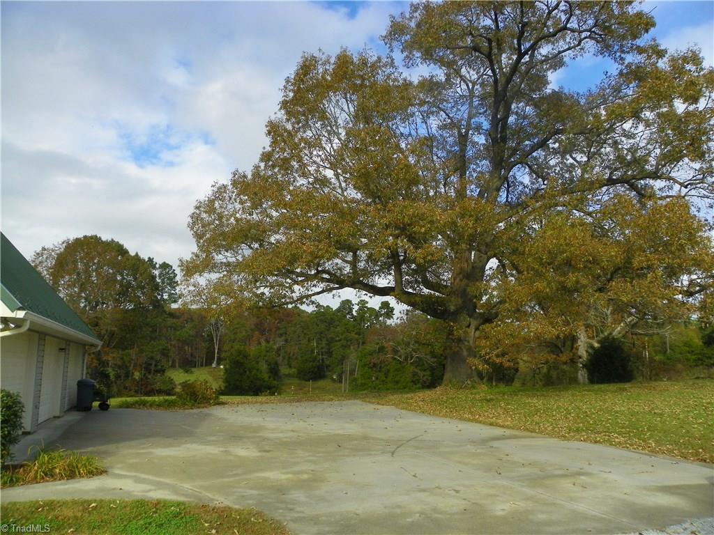 390 Will Snider Road Linwood, NC 27299 - Photo 24 of 25 Driveway Side View