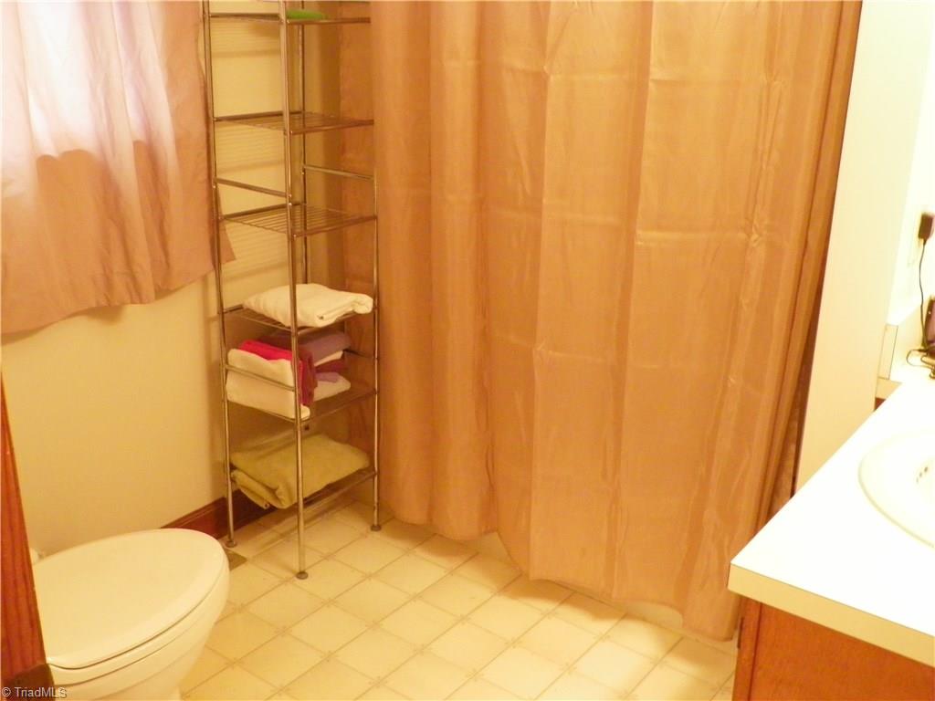 390 Will Snider Road Linwood, NC 27299 - Photo 8 of 25 Master Bath