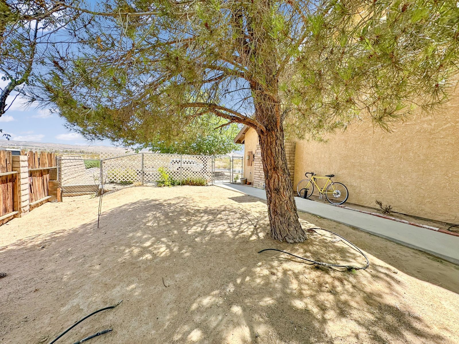 724 West Dolphin Avenue Ridgecrest, CA 93555 - Photo 48 of 50 a view of yard with trees