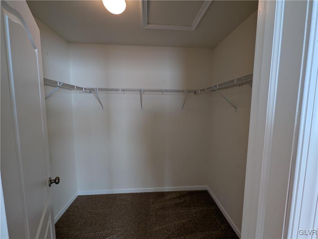 351 Pennycress Road Allentown, PA 18104 - Photo 31 of 35 Spacious Master walk in closet