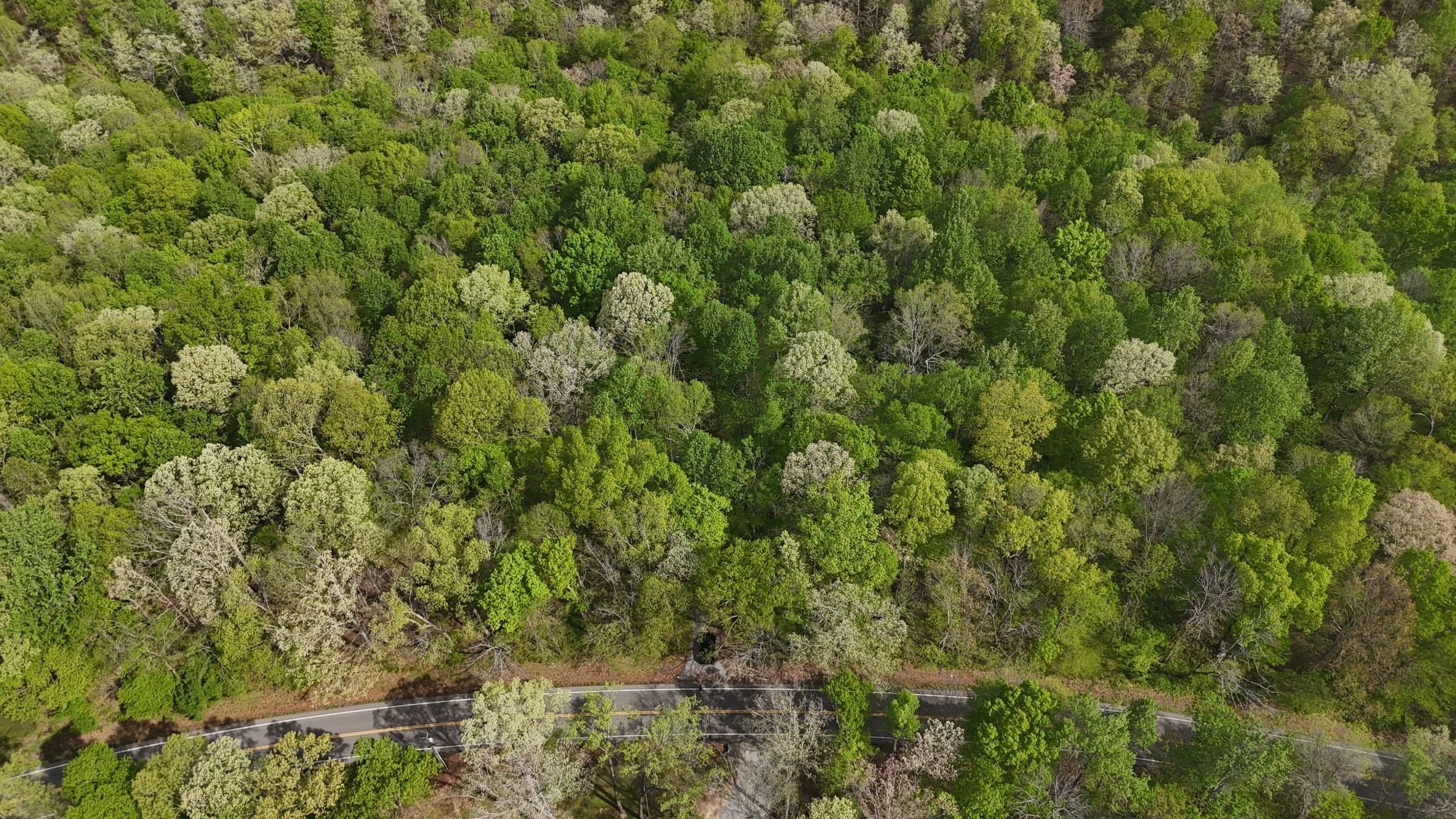 2 Greenbriar Road Franklin, TN 37064 - Photo 7 of 14
