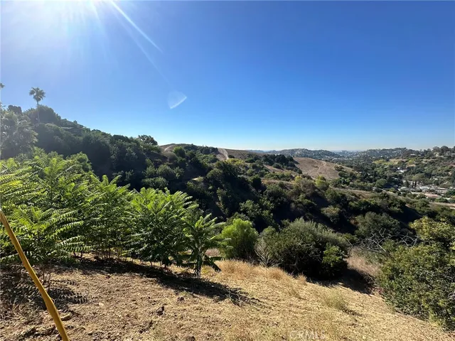 a view of a yard with a mountain