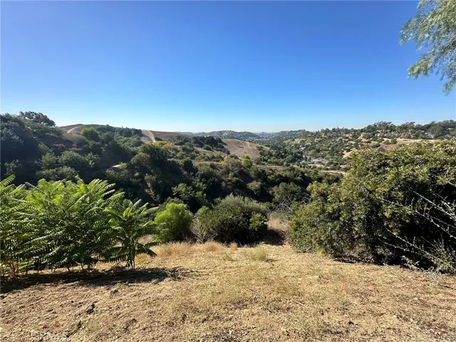 a view of a large yard with lots of trees