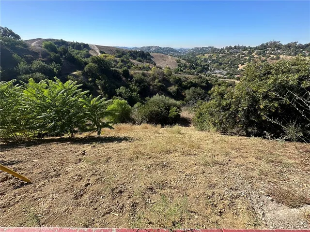a view of a yard with plants and large trees