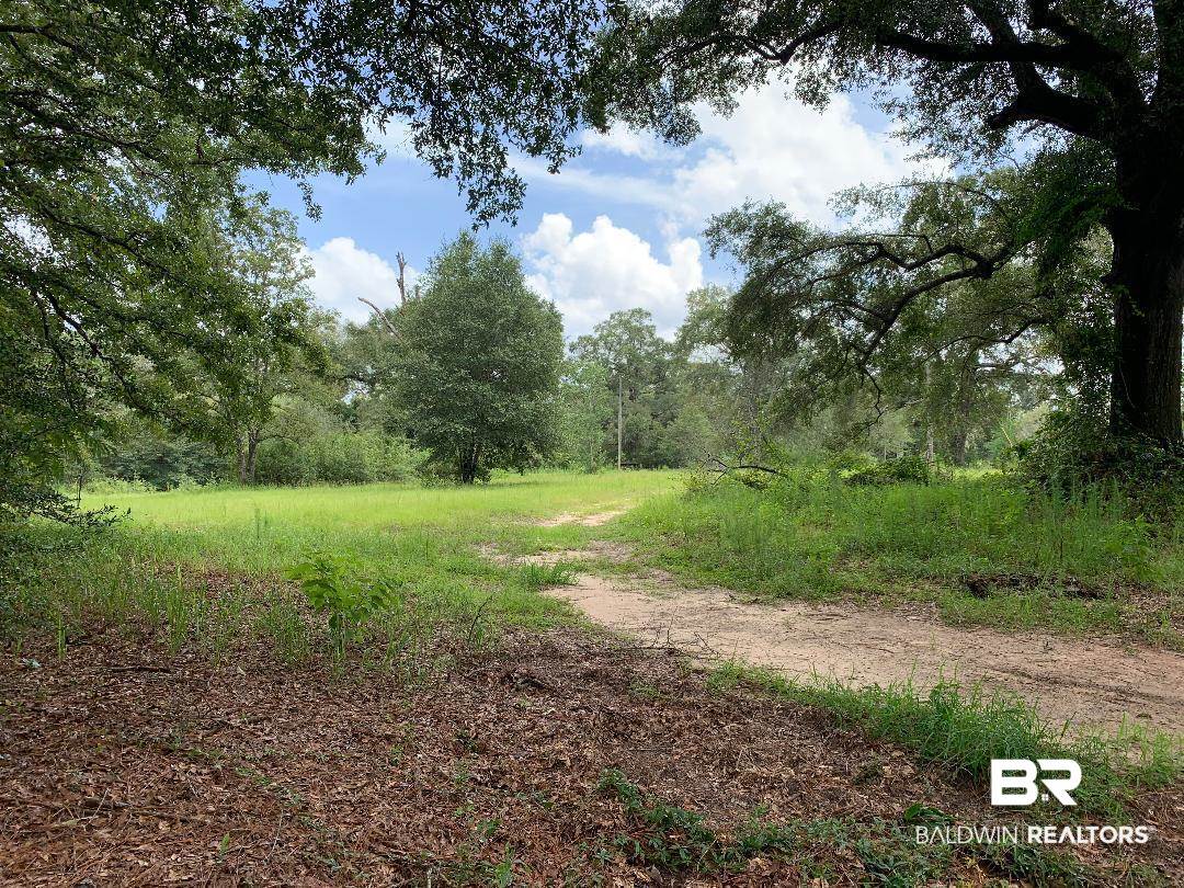 1 John Sims Road Wilmer, AL 36587 - Photo 1 of 4