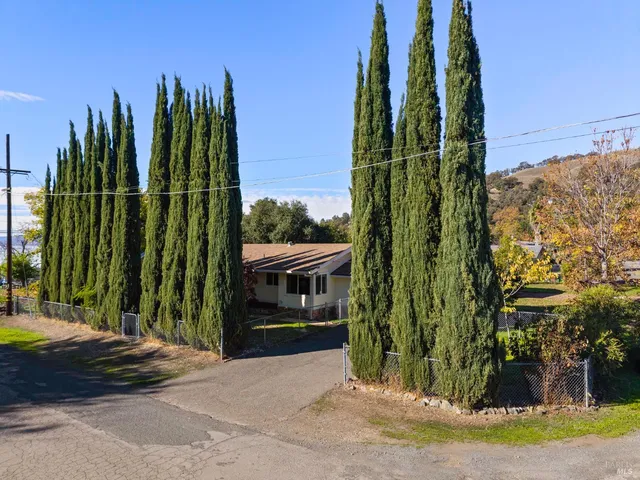 a view of a park with plants