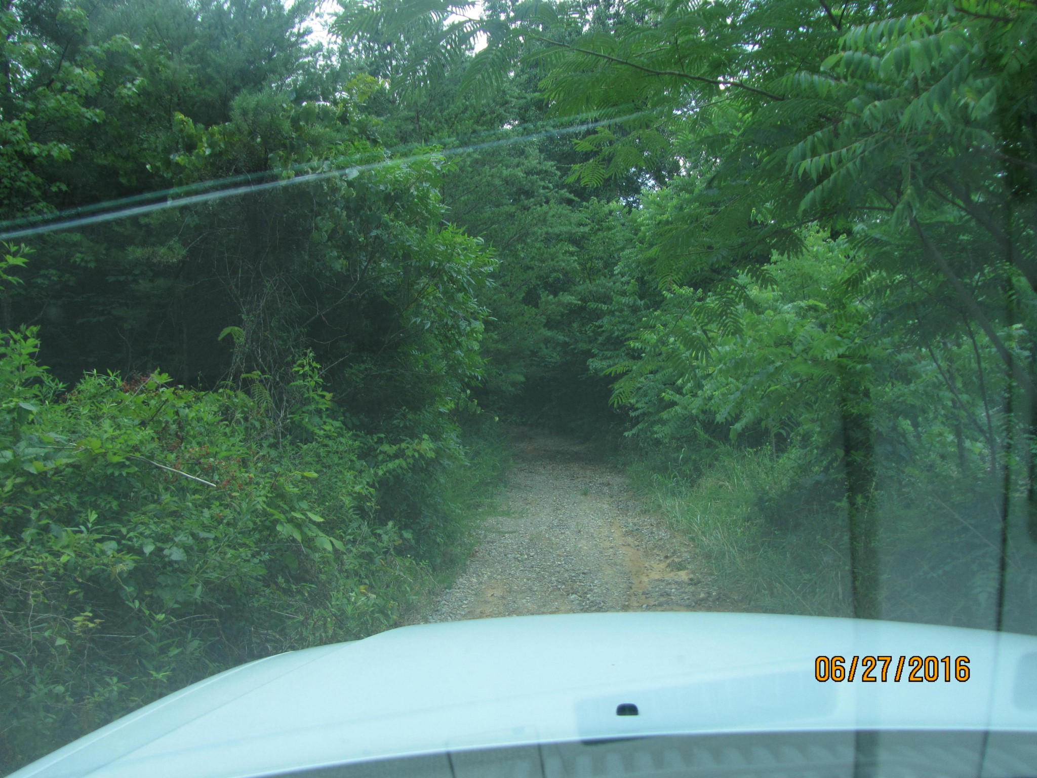 857 Reagan Valley Road Tellico Plains, TN 37385 - Photo 6 of 9 Gallery Image 6