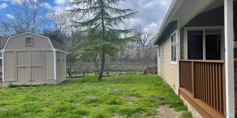 a view of a yard with plants and trees