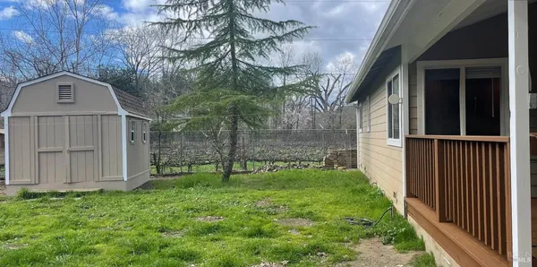 a view of a yard with plants and trees