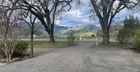 a view of a yard with plants and trees