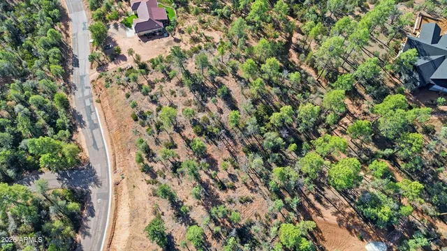 a view of a city with lush green forest