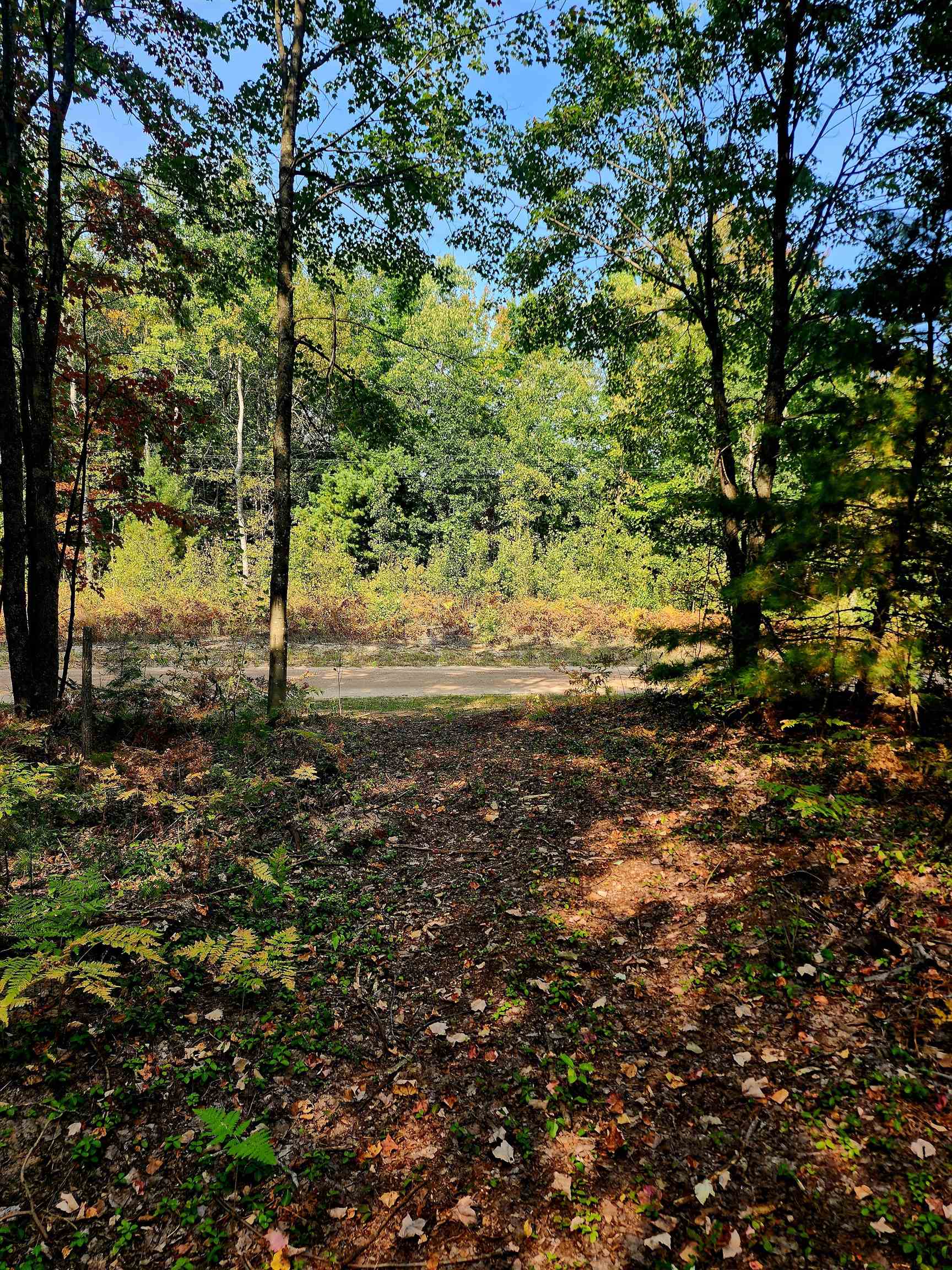 39.20-acres Lindroos Road Kaleva, MI 49645 - Photo 2 of 28 Gallery Image 2