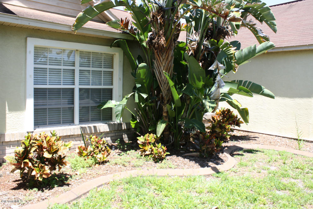 830 Gardener Road Rockledge, FL 32955 - Photo 11 of 11 Mature-Landscaping-2