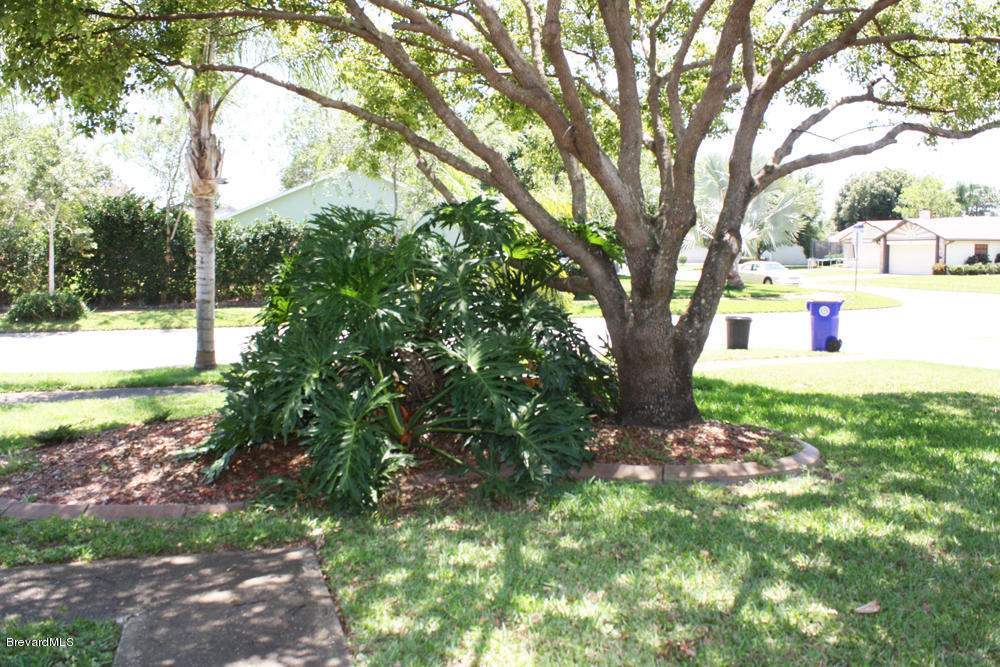 830 Gardener Road Rockledge, FL 32955 - Photo 10 of 11 Mature-Landscaping