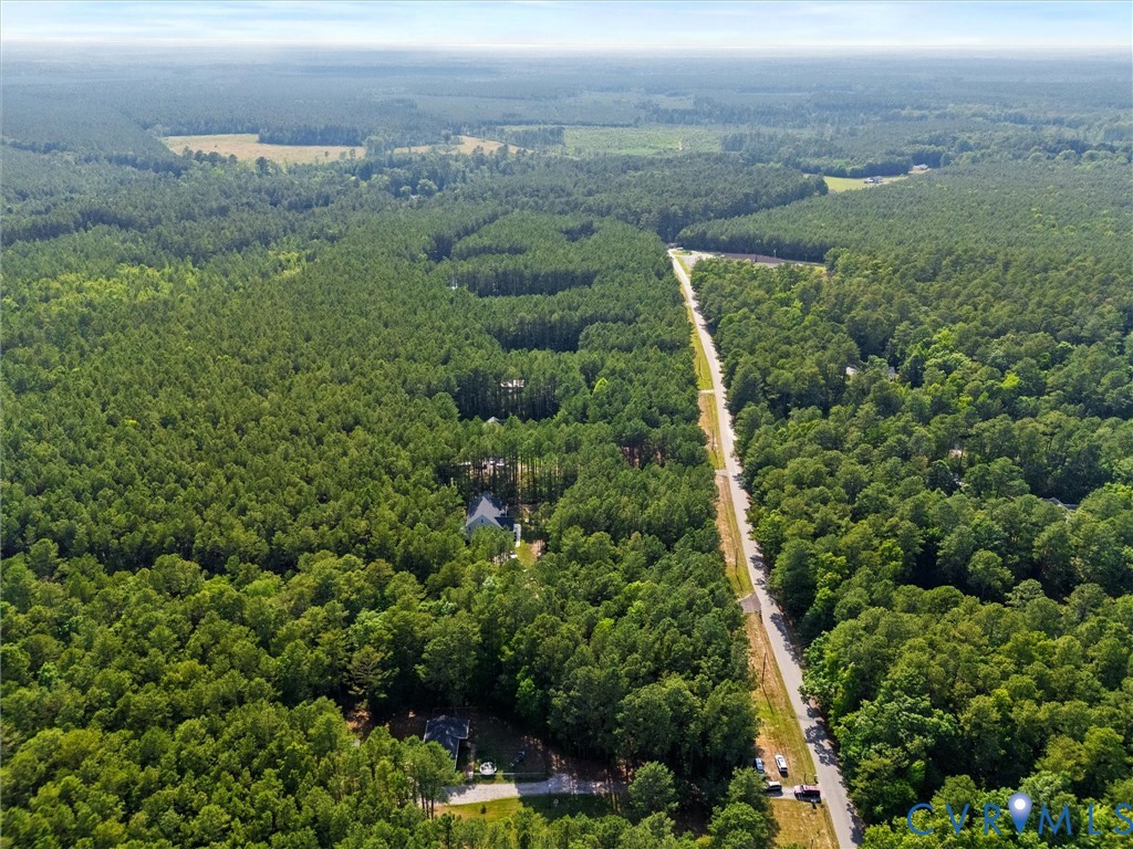 14175 Lebanon Road Disputanta, VA 23842 - Photo 56 of 60 Expansive wooded acreage featuring a paved road, s