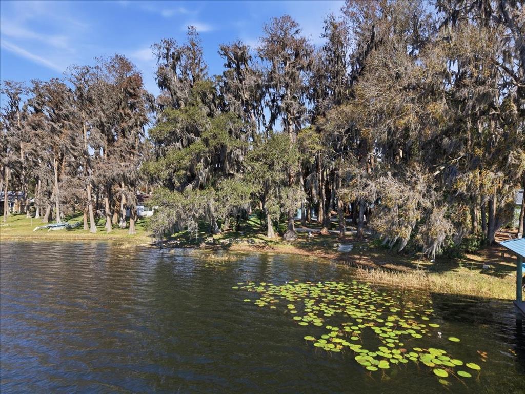 19513 Deer Lake Road Lutz, FL 33548 - Photo 29 of 35