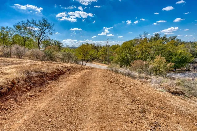 a view of a flower in a yard