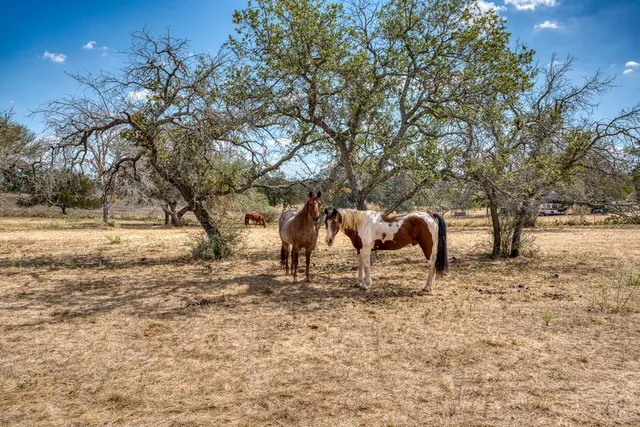 a view of an ocean beach