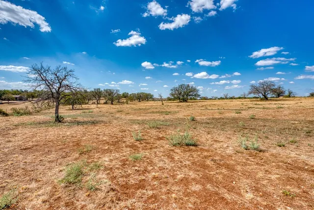 a view of a yard with a tree