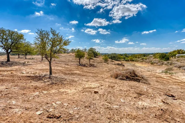 a view of a yard with yellow lighting
